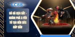 Đá Gà Cựa Sắt - Khám Phá 3 Yếu Tố Tạo Nên Sức Hấp Dẫn 