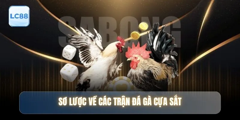 Sơ lược về các trận đá gà cựa sắt